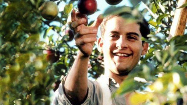 dcff69a2-ddd3-41d3-8169-687e93c391a0