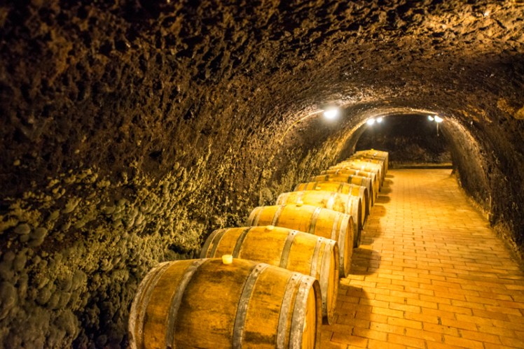 tokaj blog-10
