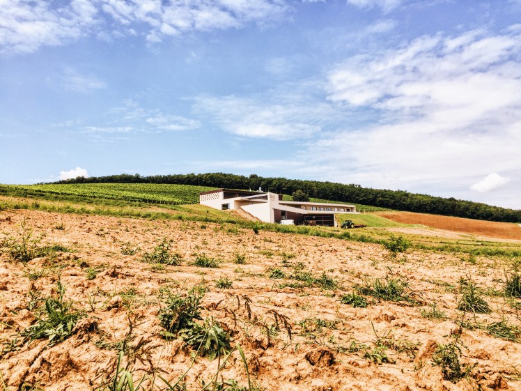 Processed with VSCO with a6 preset