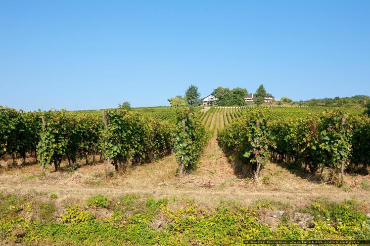 14424968_1754432461436114_8744190299006919271_o