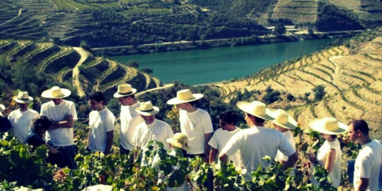 32591_88_88_wine_passport_route_des_vins_wine_tour_portugal_douro_vendanges_vigne_pack-848x425