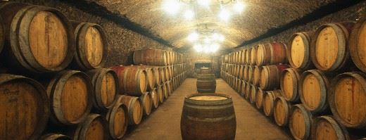 anada-ribera-del-duero