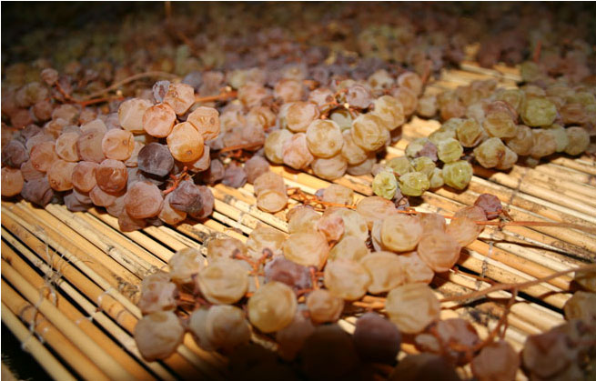 barattieri-appassimento-uva