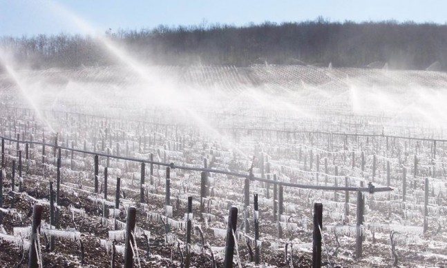 billaud-simon-chablis-vineyards-frost-647x389