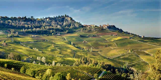126-road-alba-barolo-6