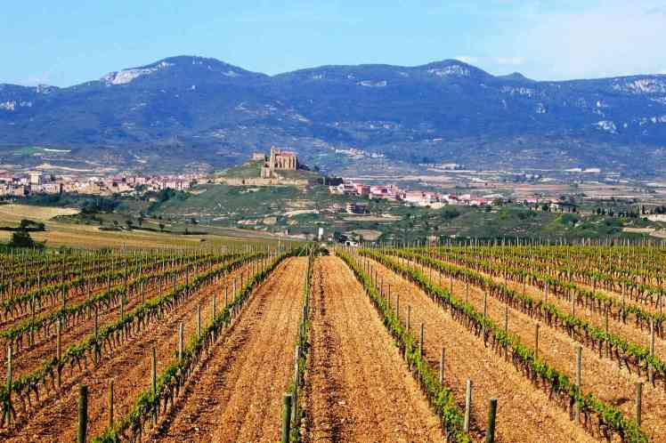rioja-wine-region