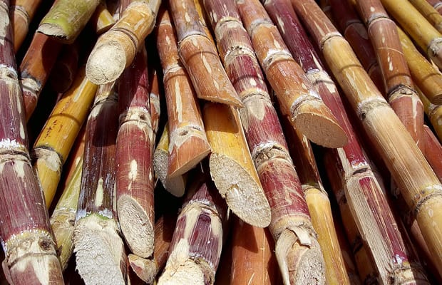 bgv7fgeqmkudw7qcn6fv