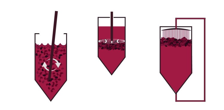 red-wine-vinification-by-maceration-grape-harvest-fulling-replacement-fermentation-search-portal-cellars-wine-bars-exclusive-wine-1250x616