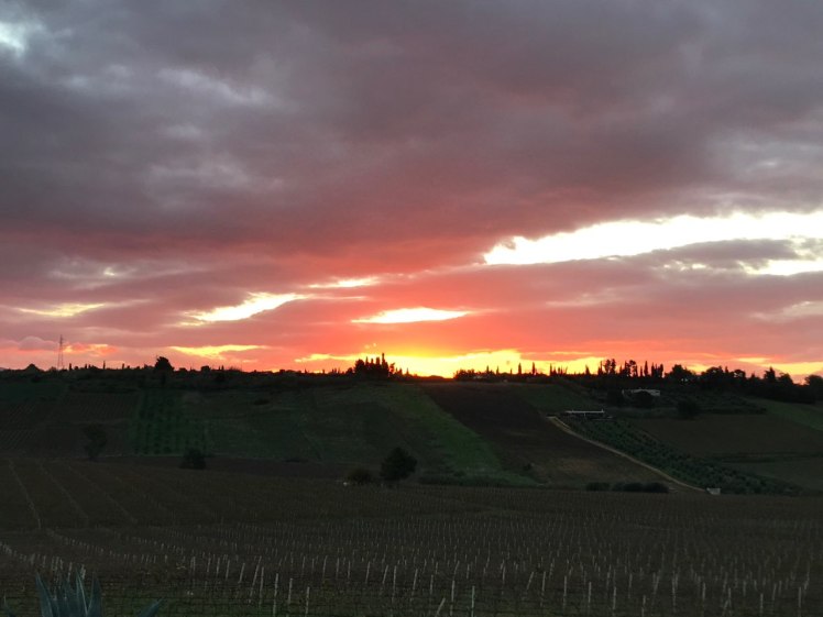 1cad31b7-15f6-4b33-8d19-ba2def609ed8