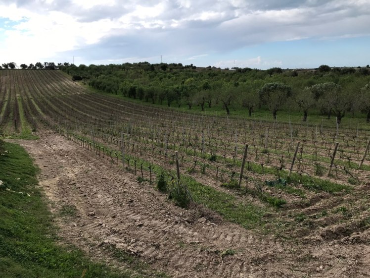 3633e257-74e1-438e-aead-89dd190d791b