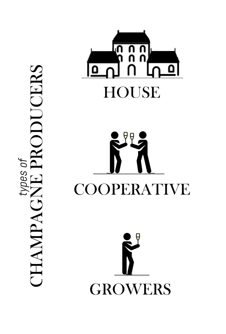 Types-of-Champagne-Producers-800x8001