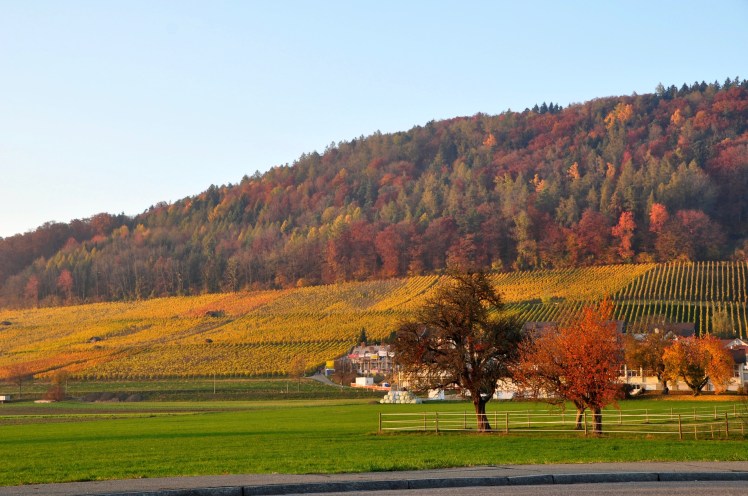 deutschschweiz_zurich_weinigen_herbst_1
