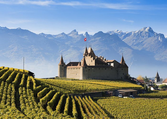 vineyards-and-castle-aigle-switzerland-yves-marcoux
