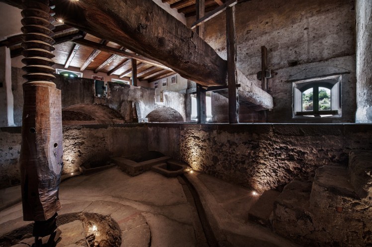 Cavanera_Etnea_hp_5-e1438094721679