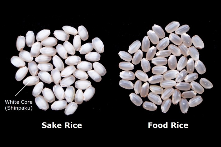 Sake-Rice